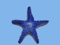 Stella marina Blu